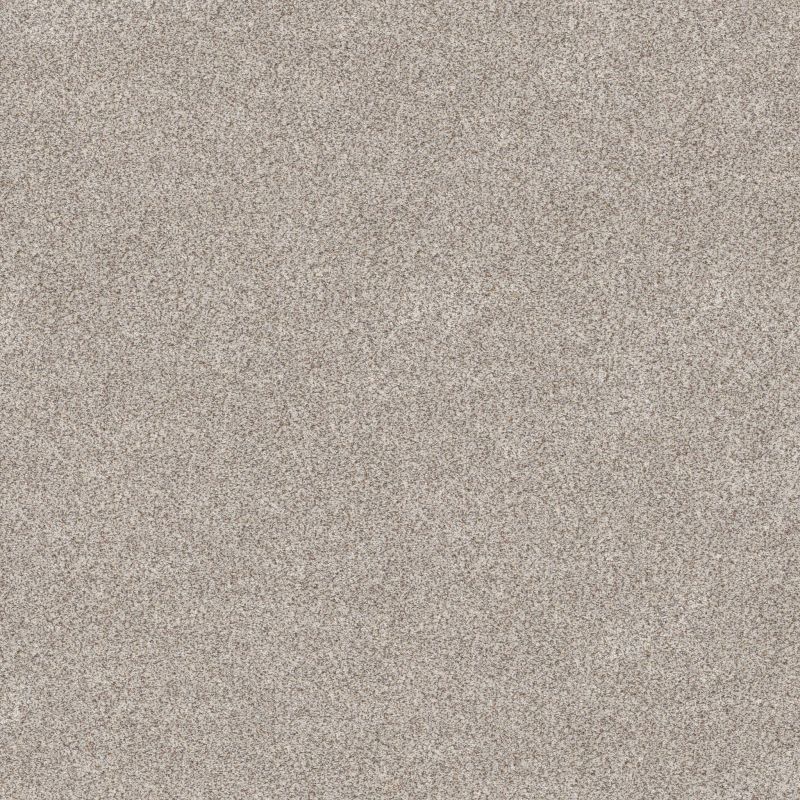 Shaw Floors Value Collections Devon Classic III Net Breton