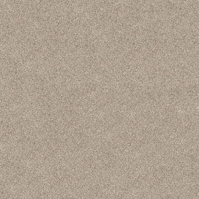 Shaw Floors Value Collections Devon Classic III Net Cliff