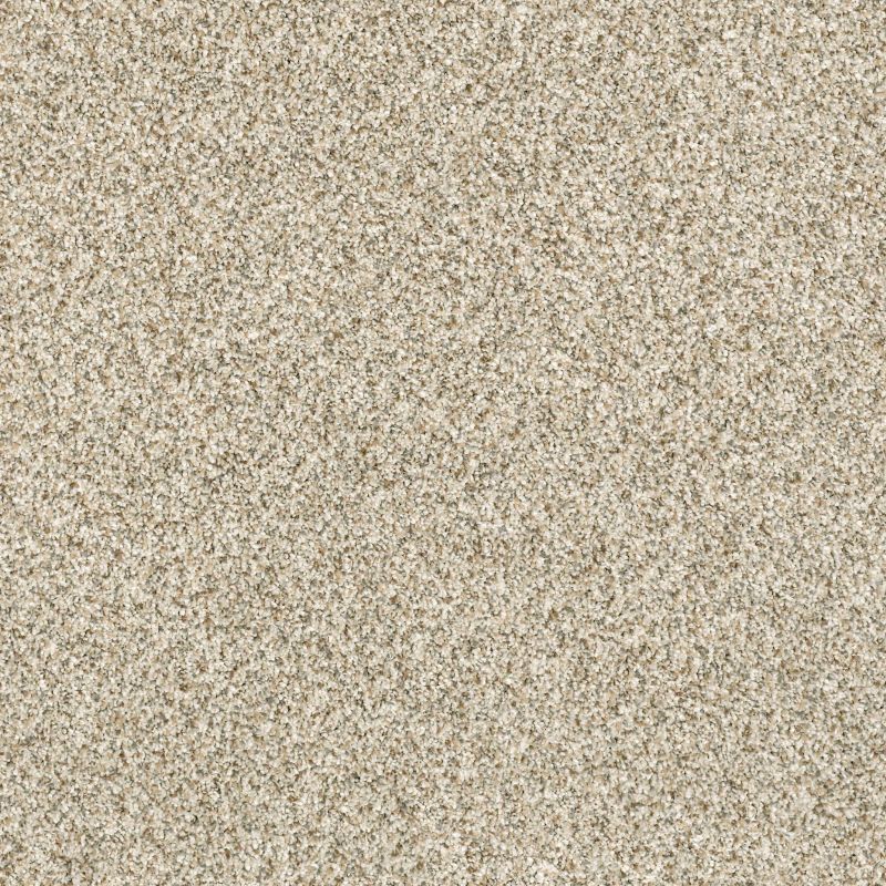Shaw Floors Value Collections Devon Classic III Net Celtic