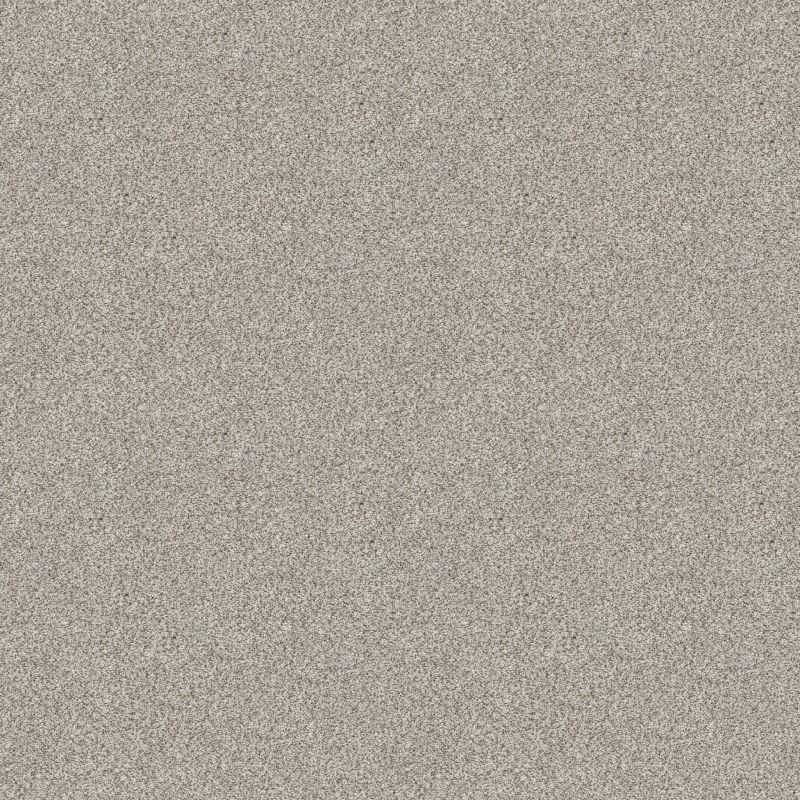 Shaw Floors Value Collections Devon Classic III Net Baybridge