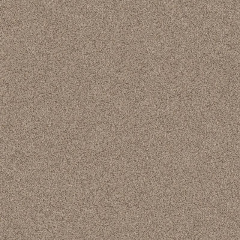 Shaw Floors Value Collections Devon Classic III Net Cavern