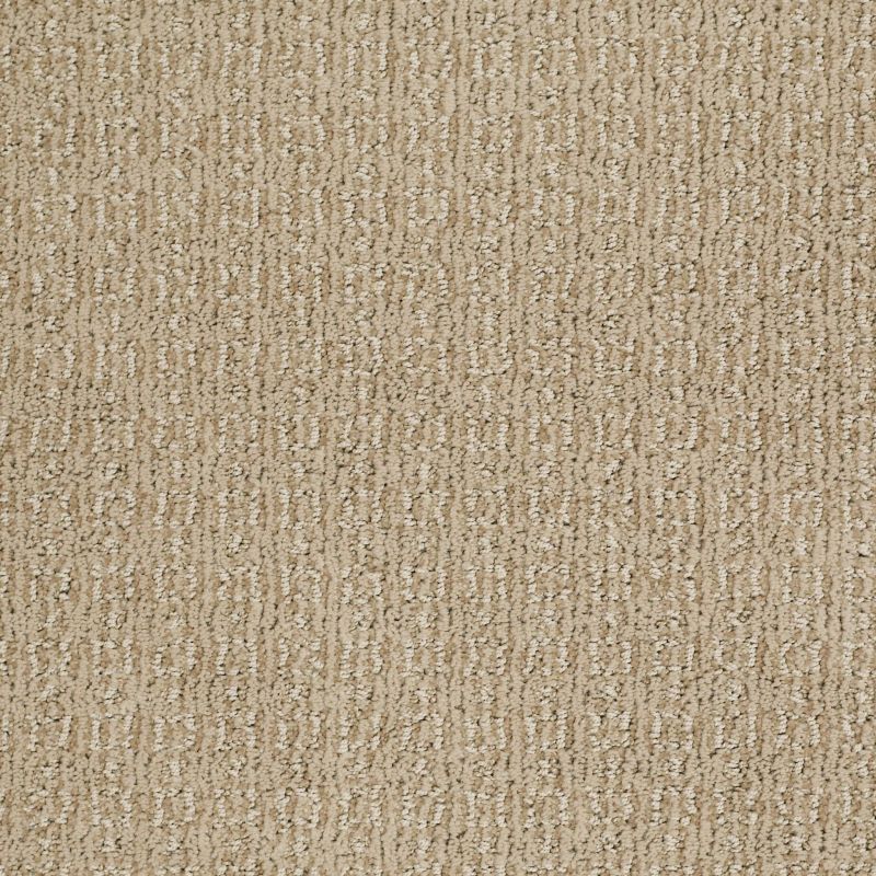 Shaw Floors Value Collections Luxe Classic Net Ridgeway Walk