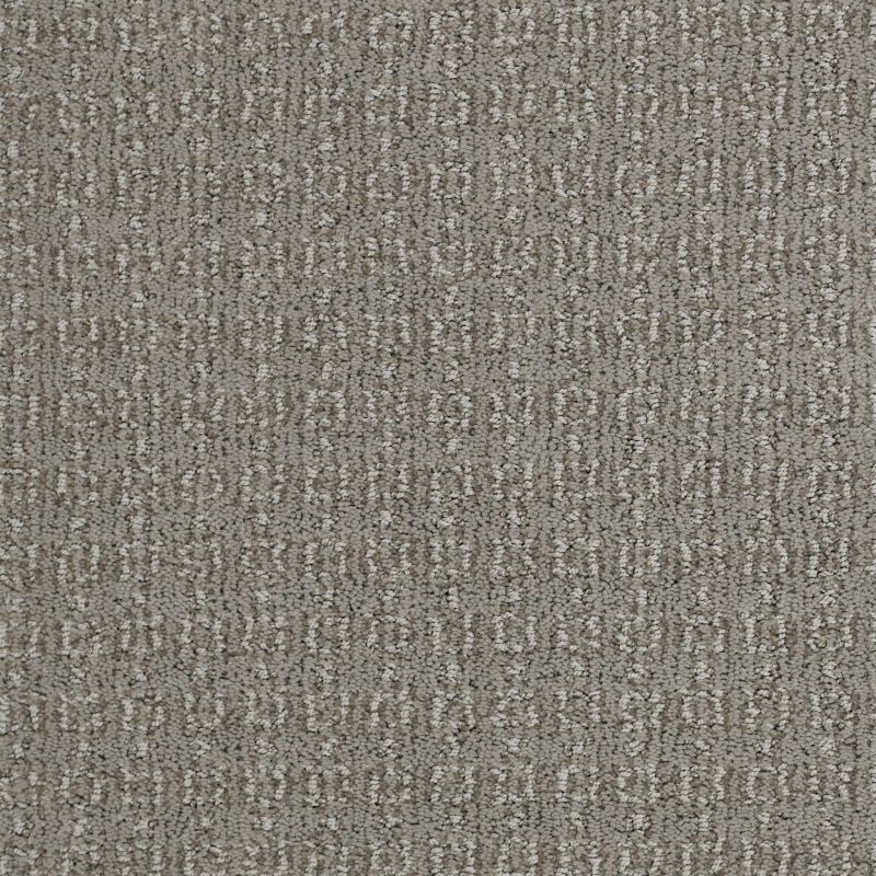 Shaw Floors Value Collections Luxe Classic Net Birch Bark