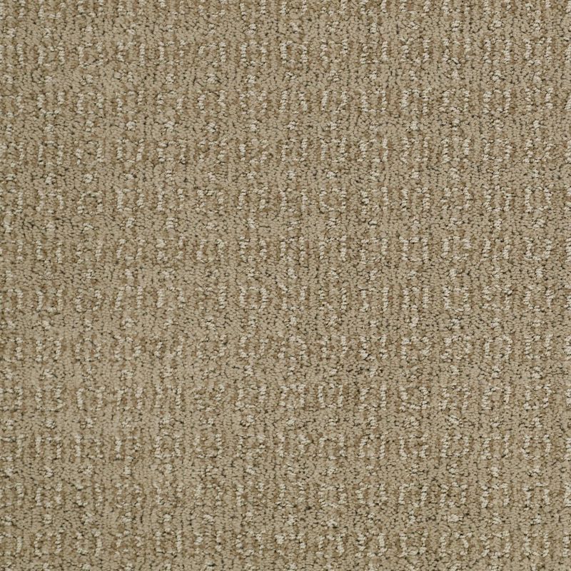 Shaw Floors Value Collections Luxe Classic Net Llama