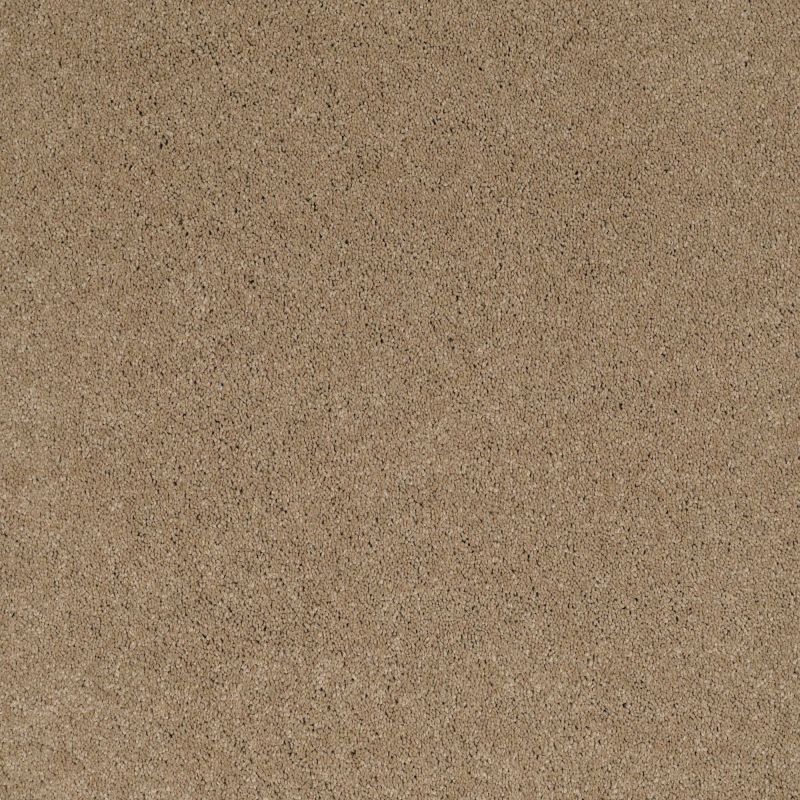 Shaw Floors Caress By Shaw Quiet Comfort I Llama