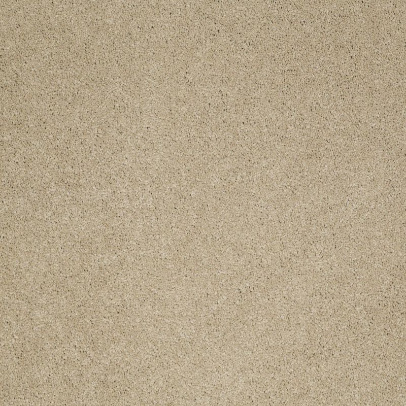 Shaw Floors Caress By Shaw Quiet Comfort Iv Romney Marsh