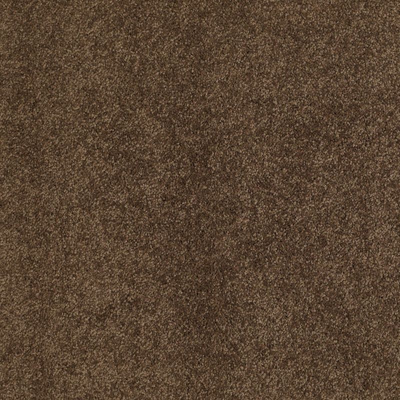 Shaw Floors Caress By Shaw Quiet Comfort Classic III Bison
