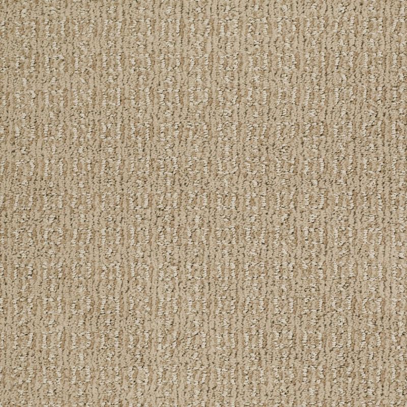 Shaw Floors Caress By Shaw Designers Trend Classic Ridgeway Walk
