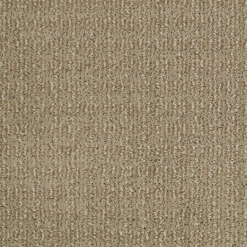 Shaw Floors Caress By Shaw Designers Trend Classic Llama