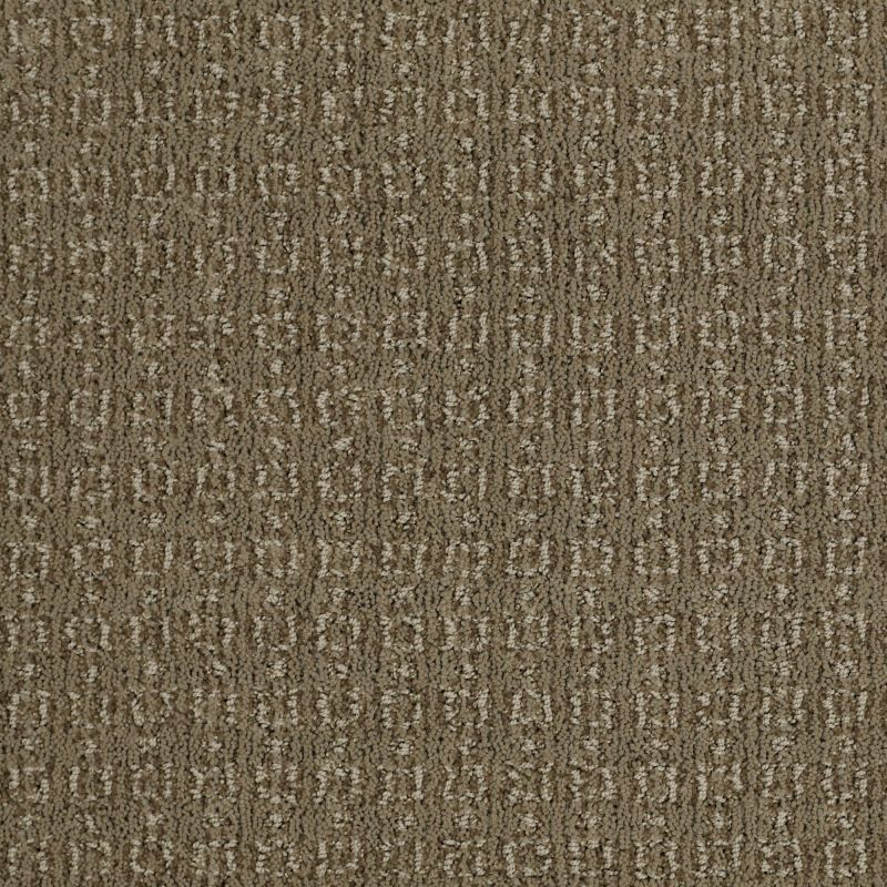 Shaw Floors Caress By Shaw Designers Trend Classic Welsh Hill