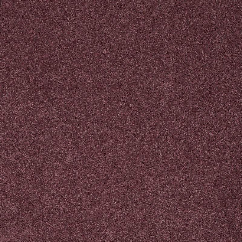 Shaw Floors Caress By Shaw Cashmere I Andean Valley