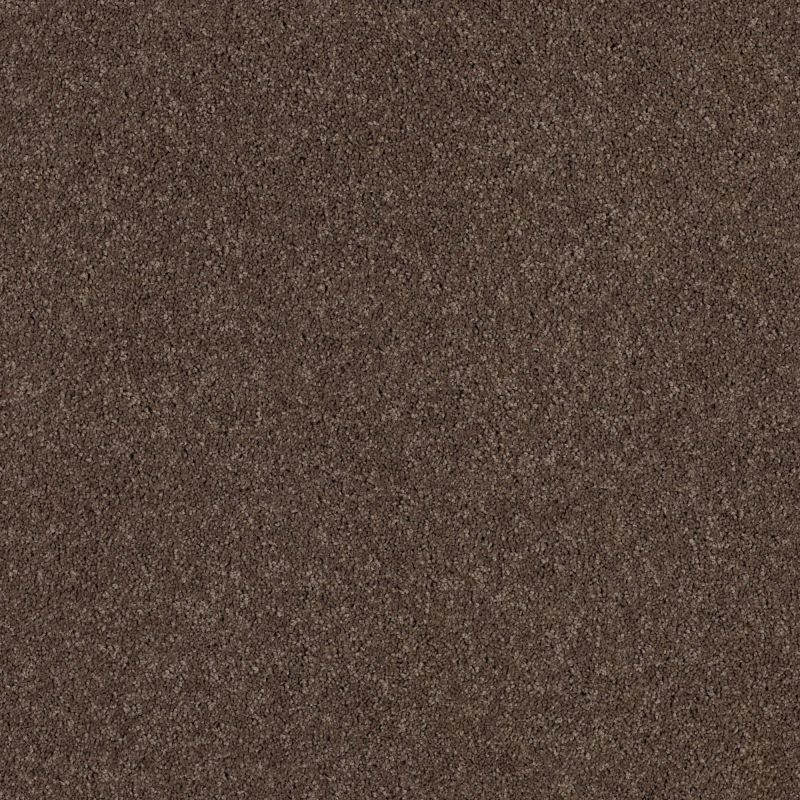 Shaw Floors Caress By Shaw Cashmere Classic I Spring - Wood