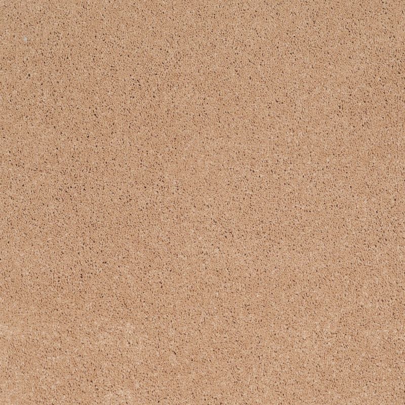 Shaw Floors Caress By Shaw Cashmere Classic Iv Maplewood North