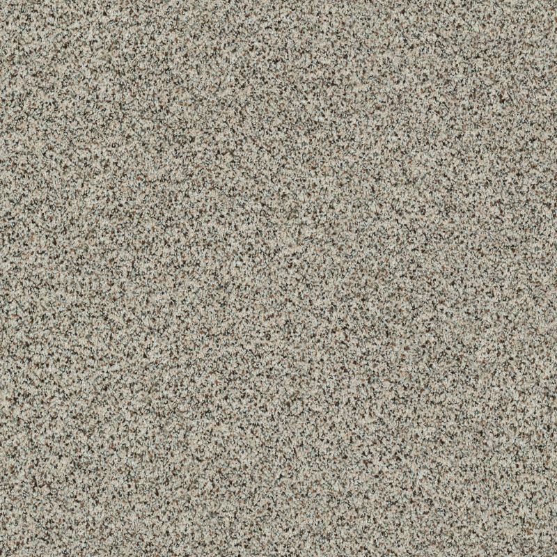 Shaw Floors Caress By Shaw Angora Classic III Corriedale