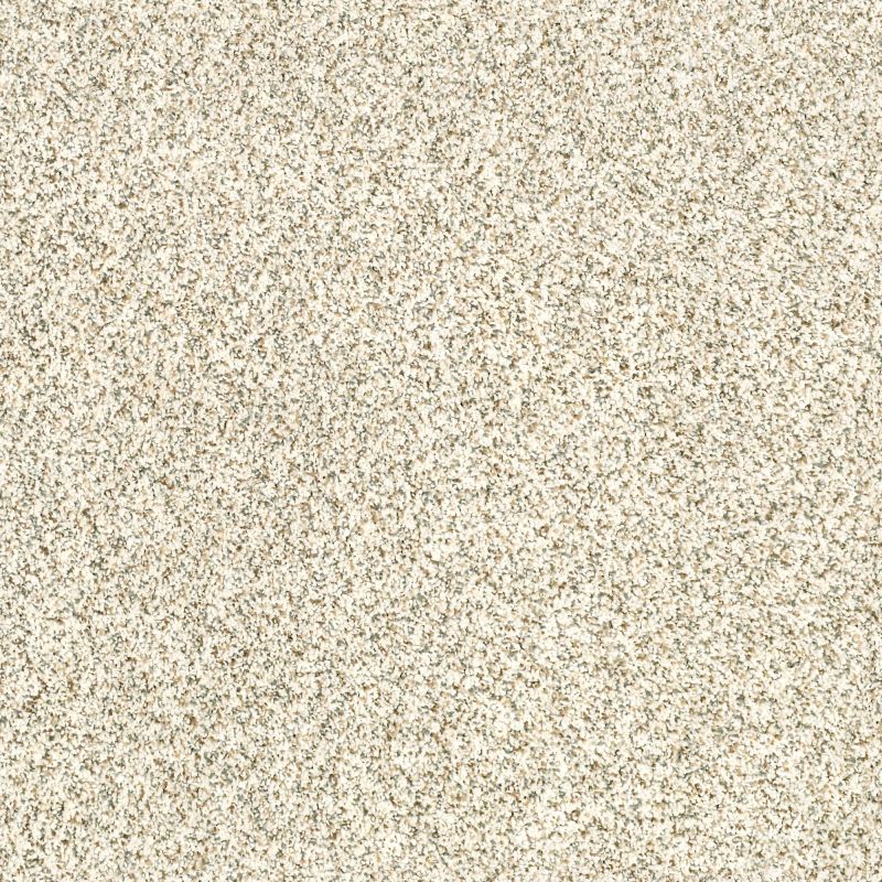 Shaw Floors Caress By Shaw Devon Classic I Cliff