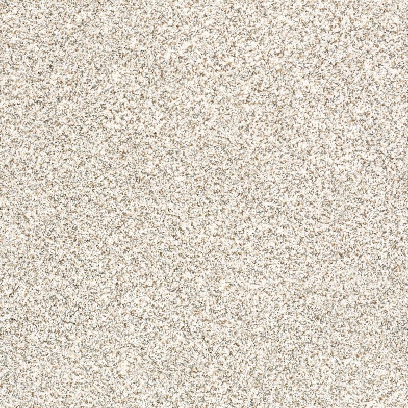 Shaw Floors Caress By Shaw Devon Classic II Valley