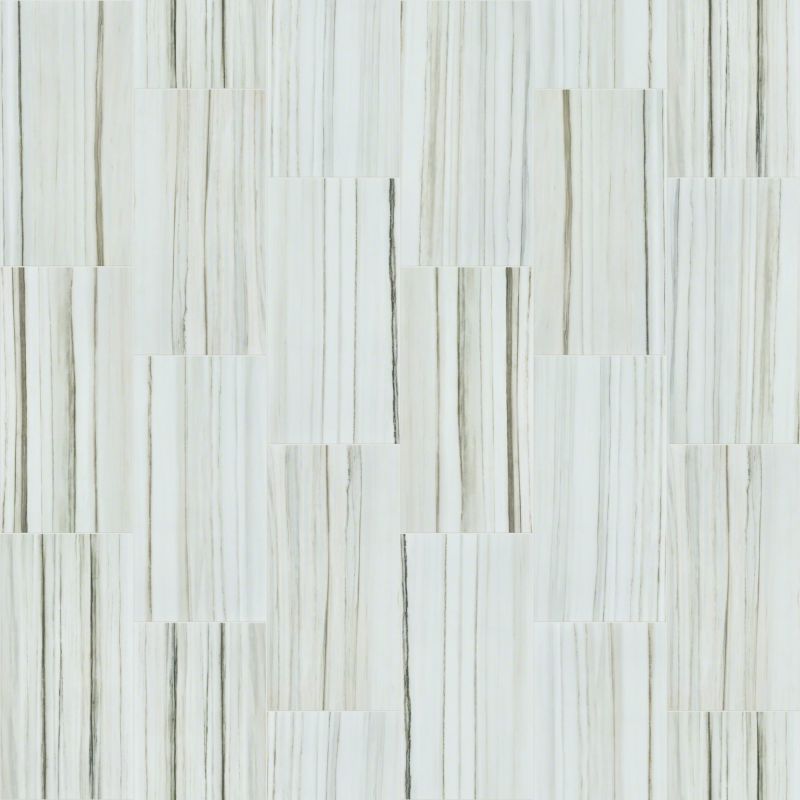 Shaw Floors Ceramic Solutions Range 12x24 Polish Zebrino