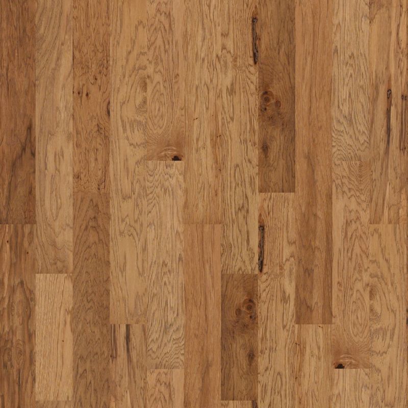 Shaw Floors Shaw Design Center Mount Battie Rawhide