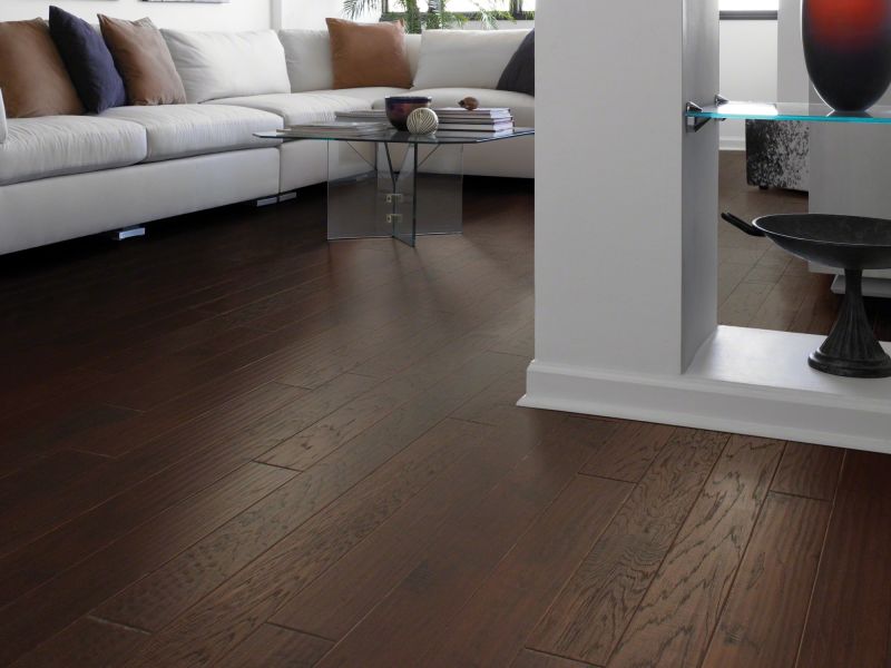 Shaw Floors Shaw Design Center Spring Stroll Evening Shade