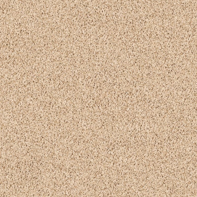 Shaw Floors Lonestar Coffee