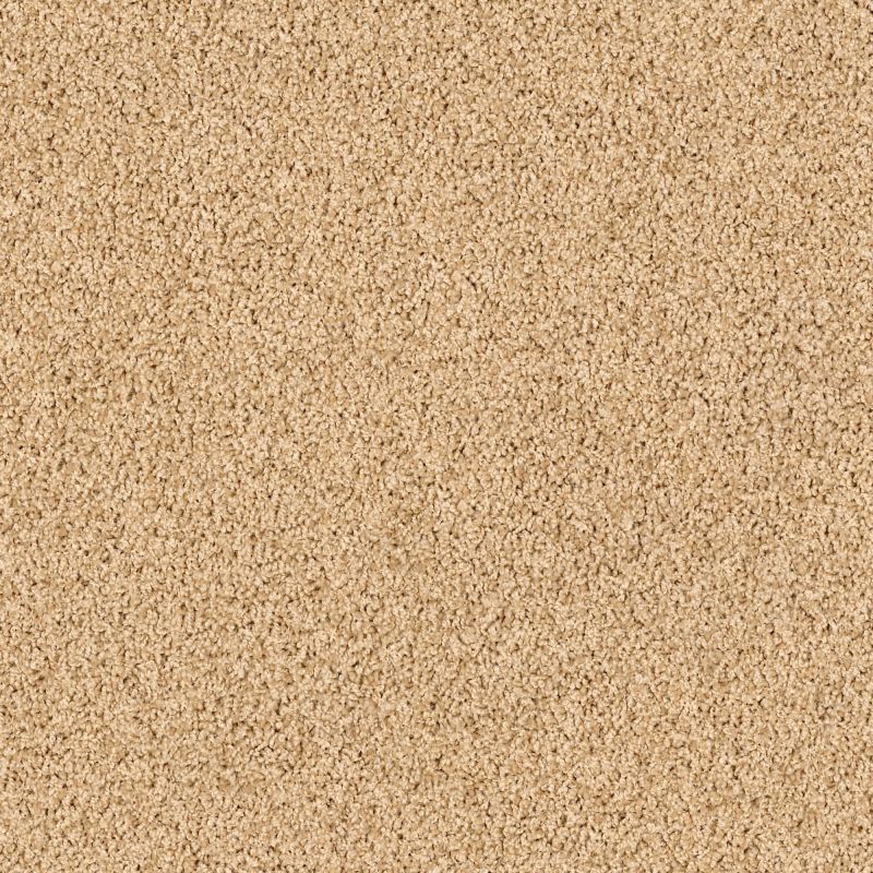 Shaw Floors Lonestar Acorn