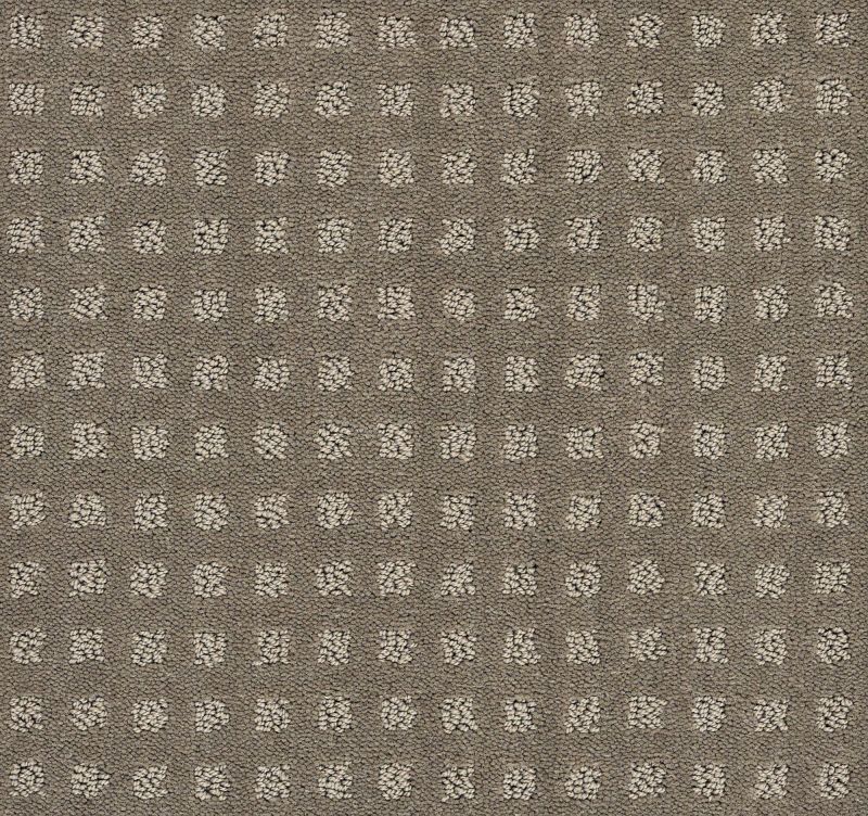 Shaw Floors Nottingham Soft Clay
