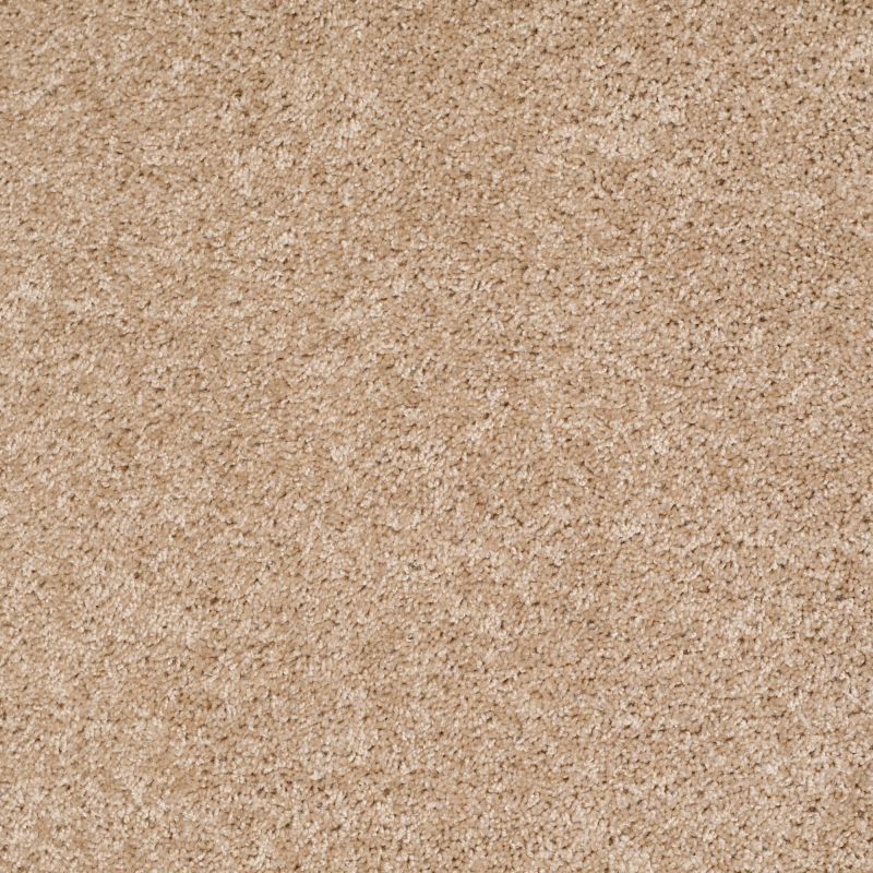 Shaw Floors Dreamin' 12' Quiet Splendor