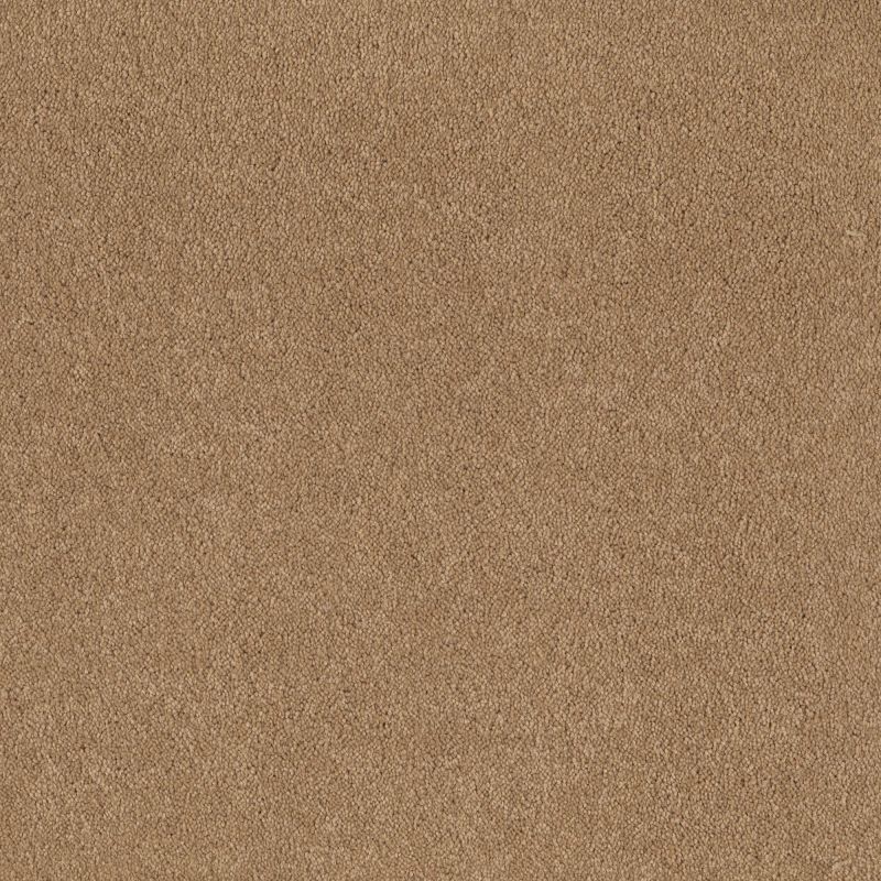 Shaw Floors Magic At Last I 12' Blonde