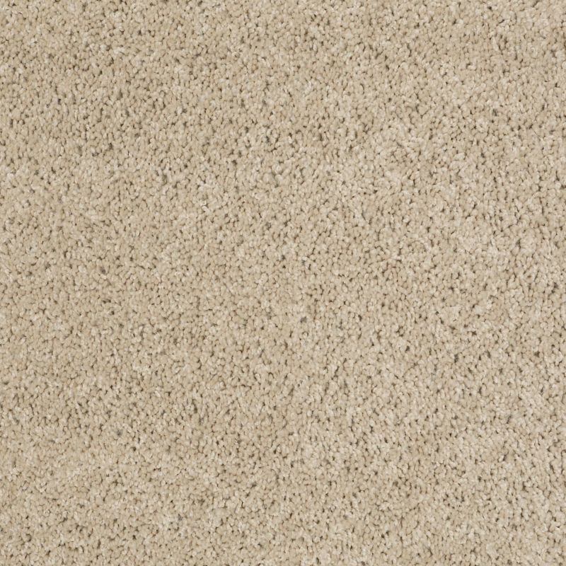 Shaw Floors Thunder Struck (s) Meadow Mist