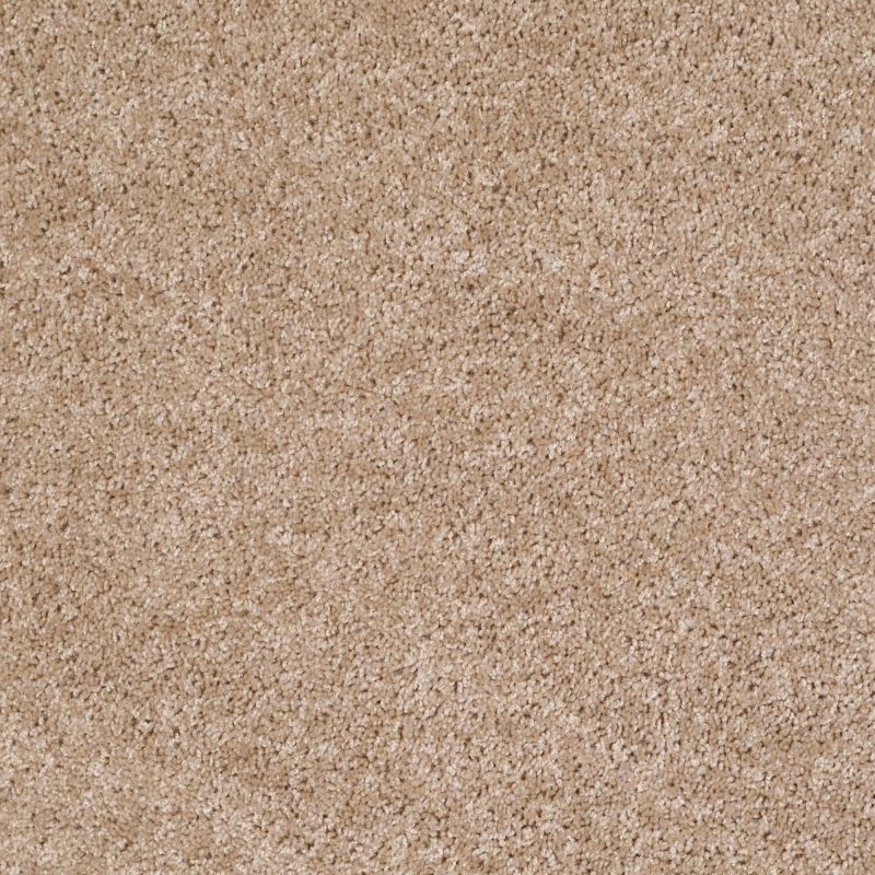 Shaw Floors Vitalize (s) 12' Studio