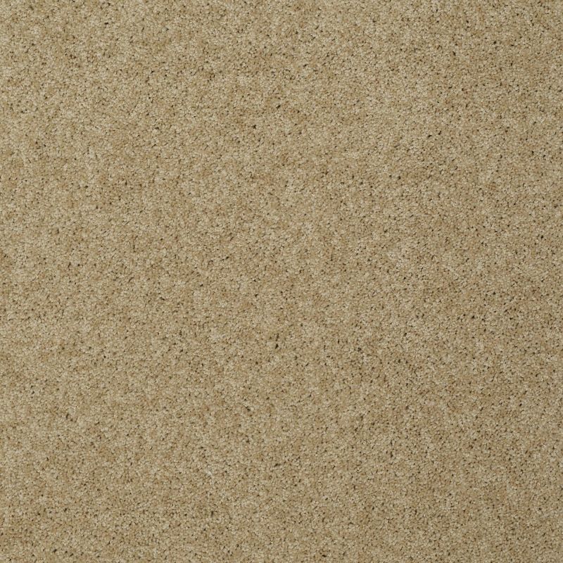 Shaw Floors Enduring Comfort II Taffeta