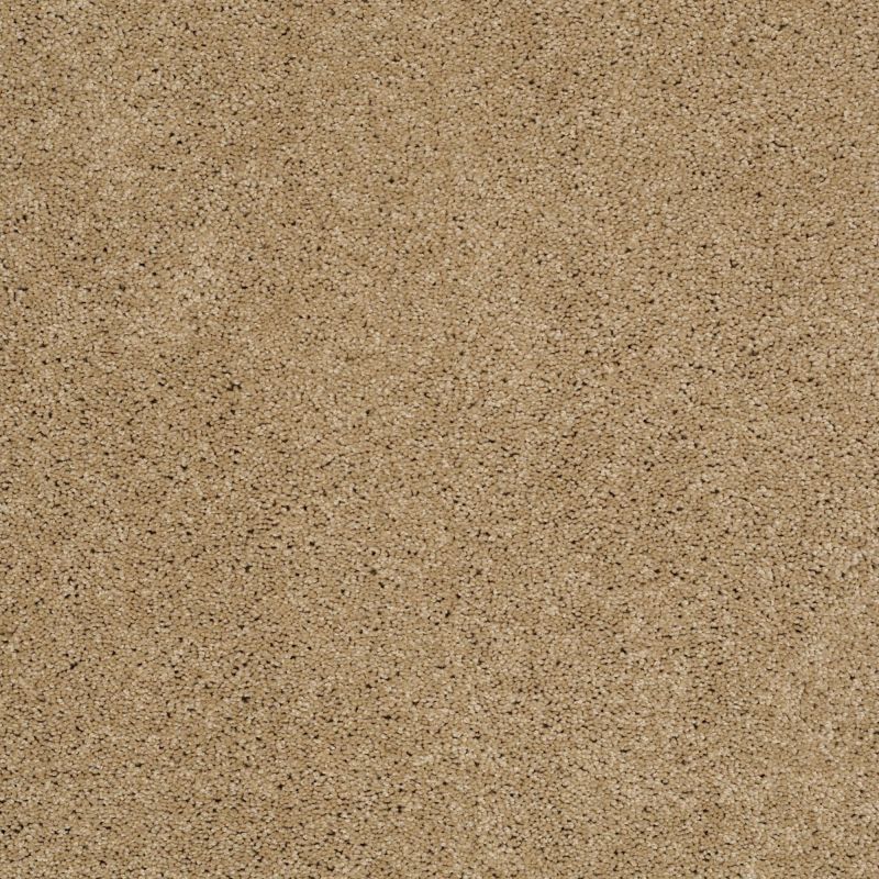Shaw Floors Enduring Comfort III Cologne Mist