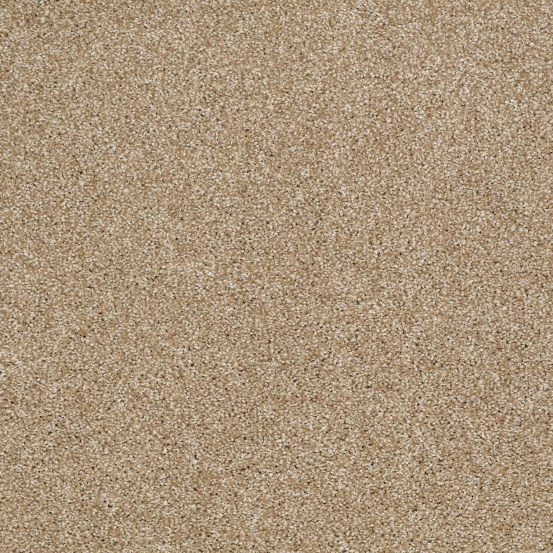 Shaw Floors Picturesque Natural Wood