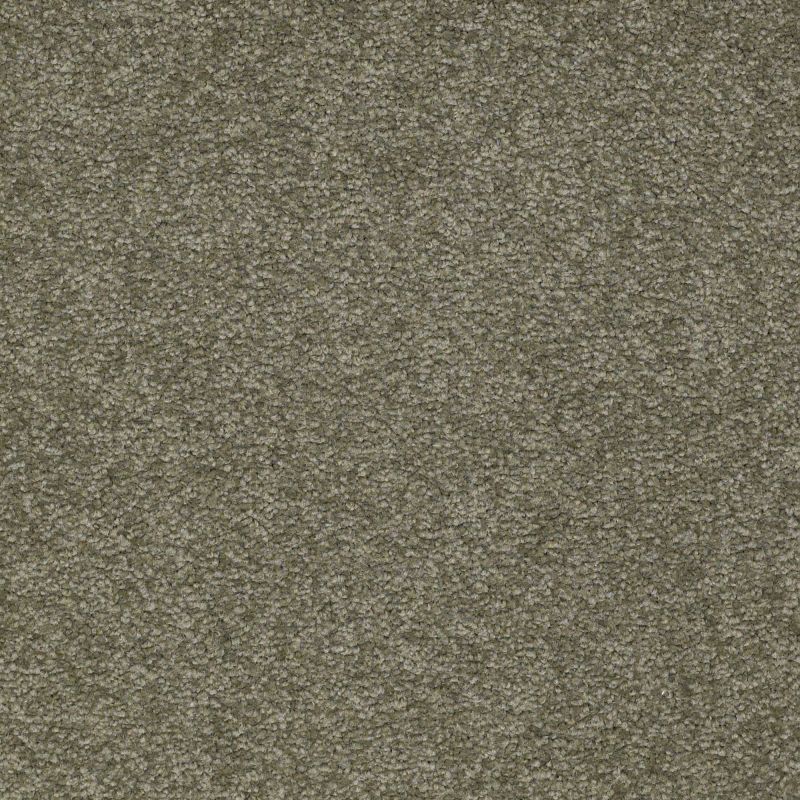 Shaw Floors Foundations Sandy Hollow Classic II 12 Alpine Fern