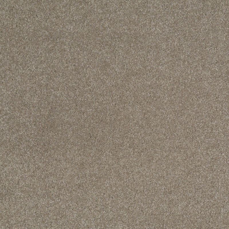 Shaw Floors Foundations Sandy Hollow Classic III 12' Wood Smoke