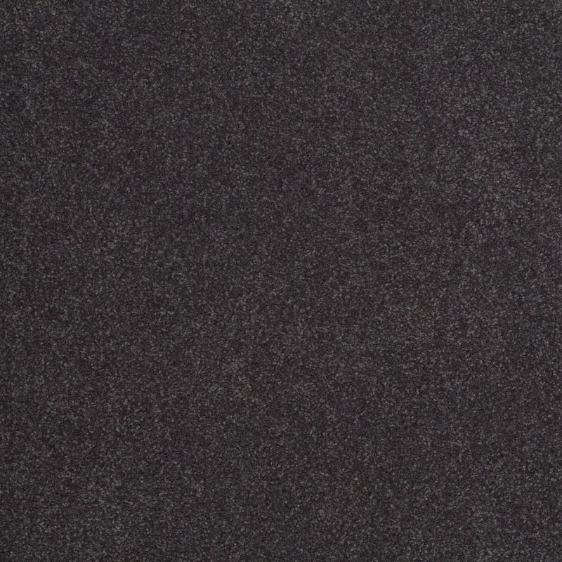Shaw Floors Sandy Hollow Classic Iv 15' Dutch Boy