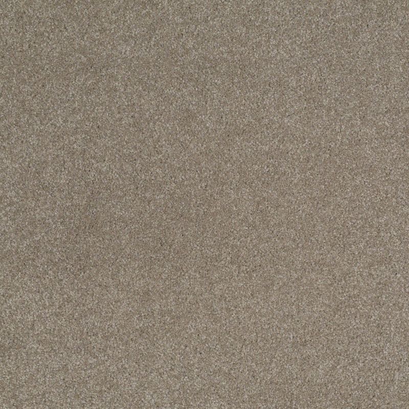 Shaw Floors Sandy Hollow Classic Iv 15' Wood Smoke