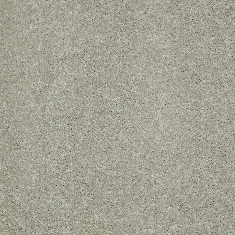Shaw Floors Foundations Well Played I 12' Wild Rice