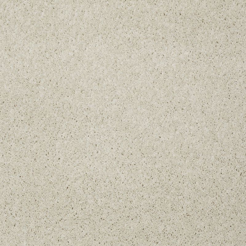 Shaw Floors My Choice III China Pearl