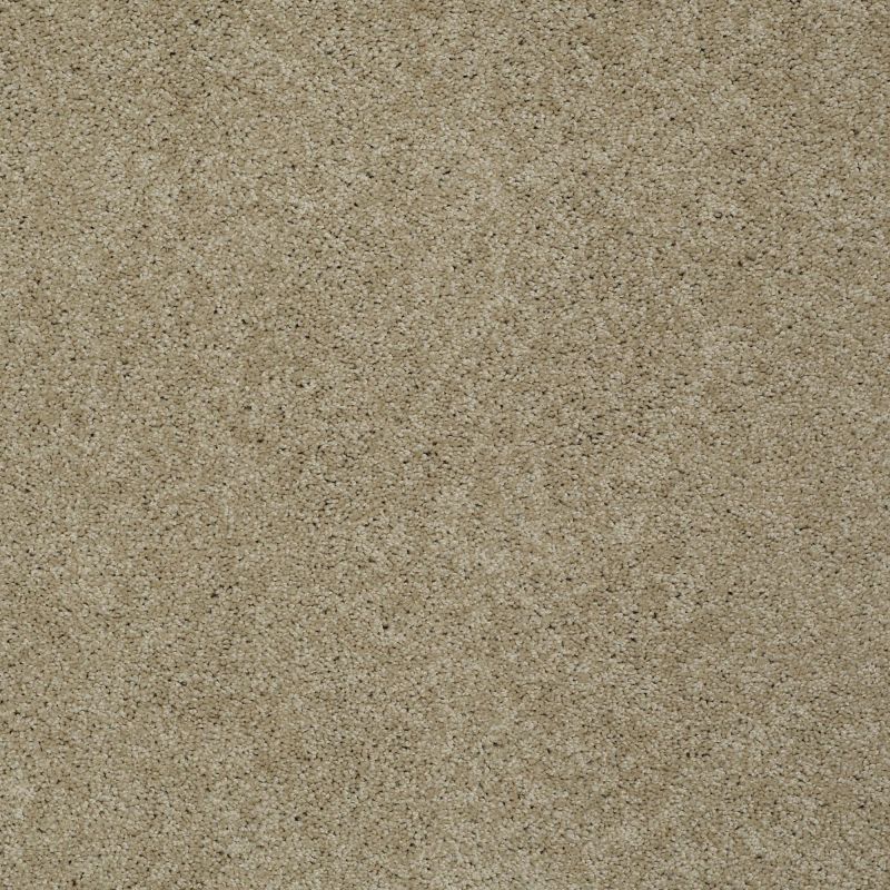 Shaw Floors My Choice III Clay Stone