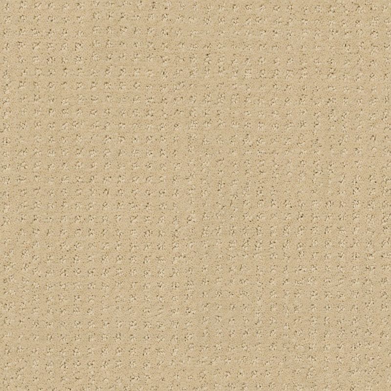 Shaw Floors My Choice Pattern French Linen