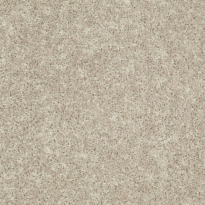 Shaw Floors Value Collections Tactical Net Hearth