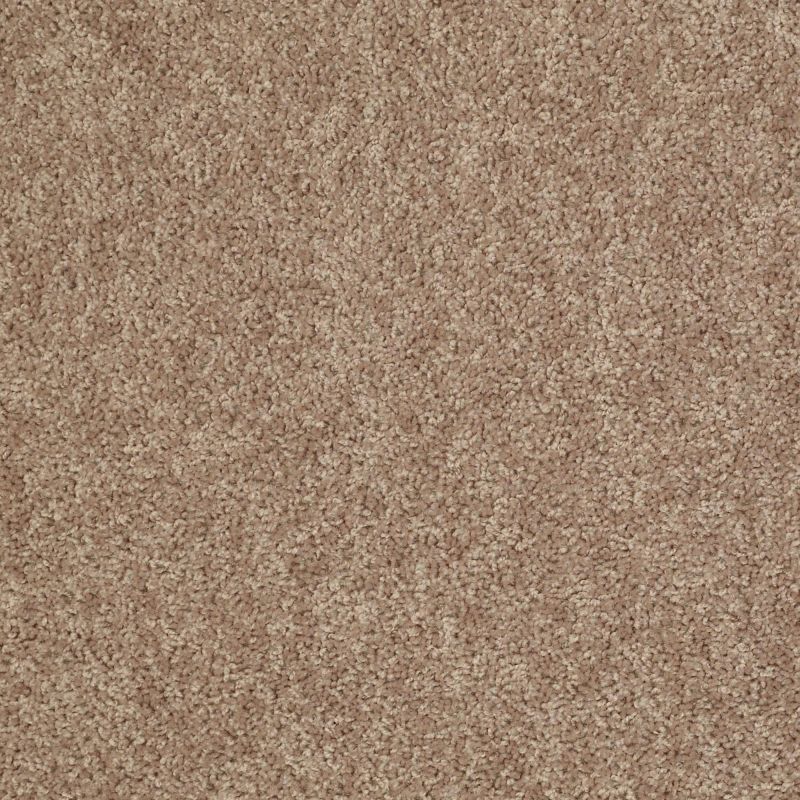 Shaw Floors Value Collections Expect More (s) Net Sahara Buff