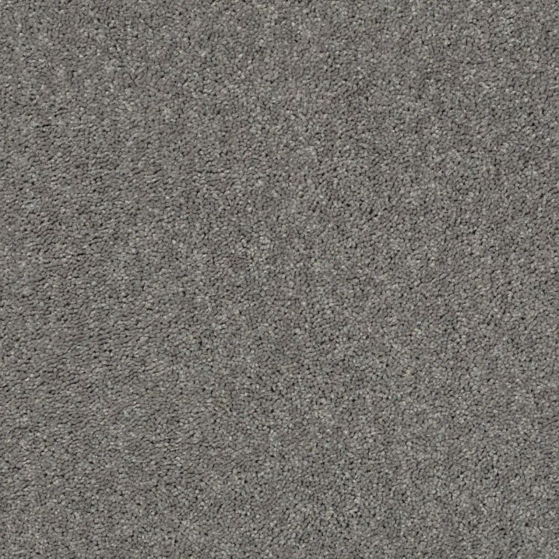Shaw Floors Value Collections Full Court Net Ink Spot
