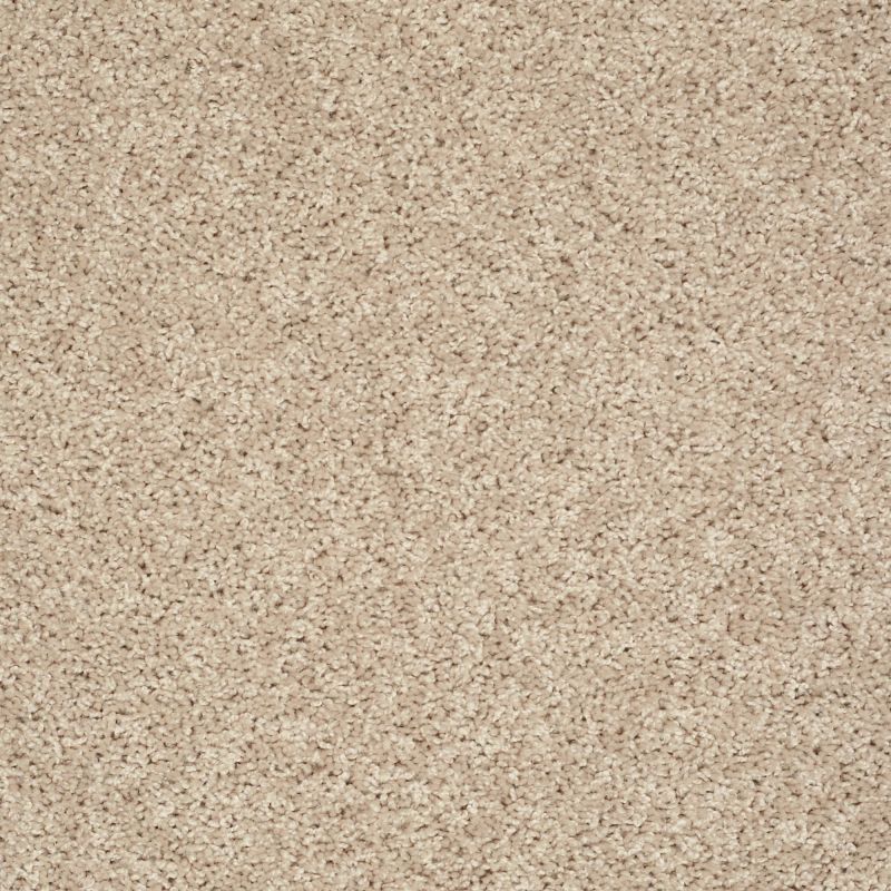 Shaw Floors Value Collections Go Big Net Pearlescent