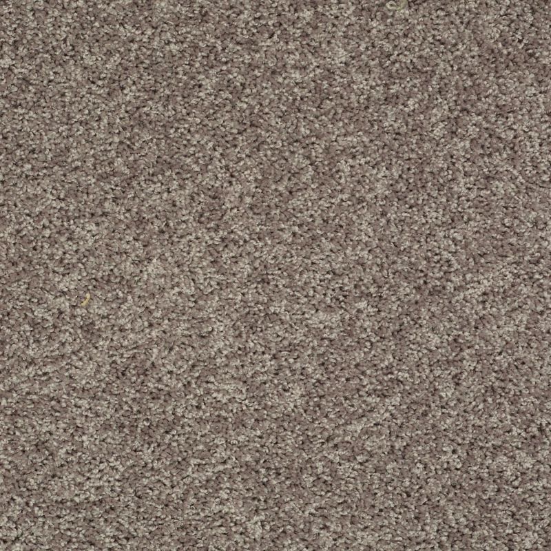 Shaw Floors Value Collections Go Big Net Trade Wind