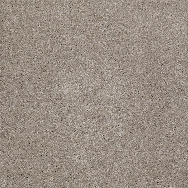 Shaw Floors SFA Awesome 5 (s) Mocha Cream