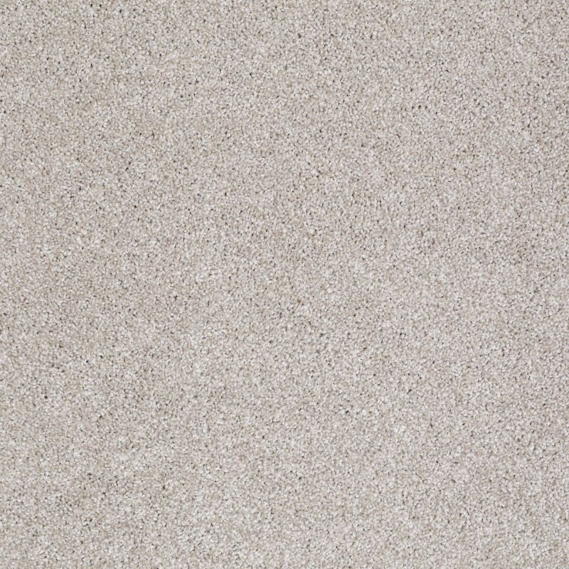 Shaw Floors SFA Awesome 5 (t) Catnip