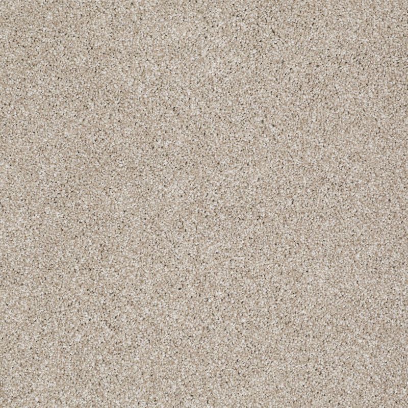Shaw Floors SFA Awesome 5 (t) Cork Board