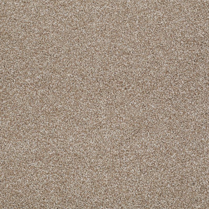 Shaw Floors SFA Awesome 6 (t) Mole Hill